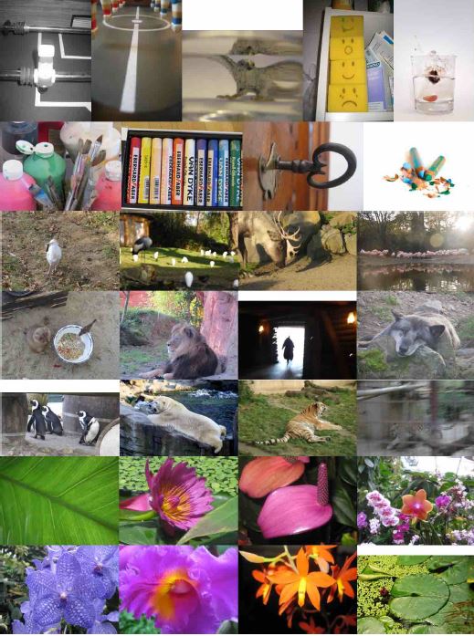 Einige Fotos der Ausstellungen